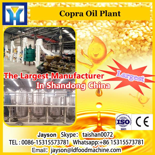 5tpd-2000tpd Best manufacturer raw copra oil refinery plant made india #1 image