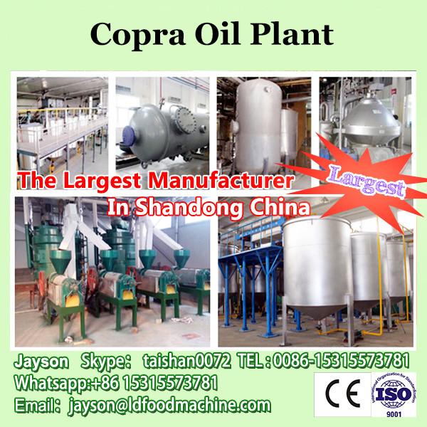 ALDaba gold supplier 20TPD Copra Oil Refining Plant in Philippines/oil mini refinery equipement machine #1 image